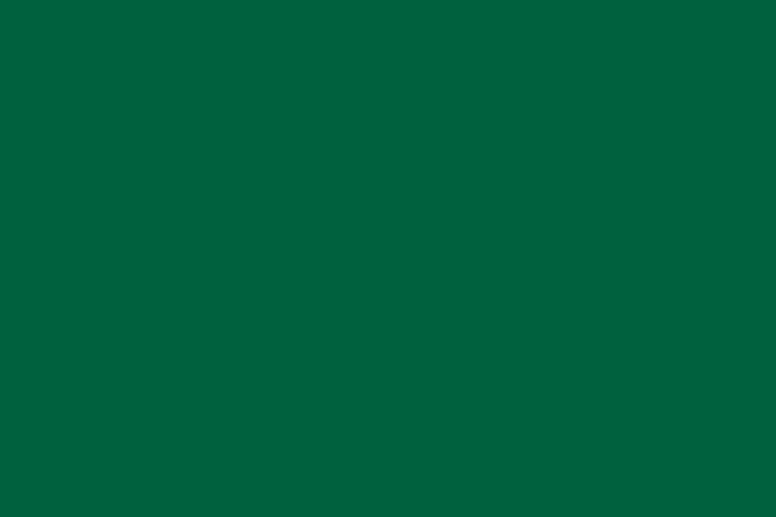 Starbucks Customer Experience